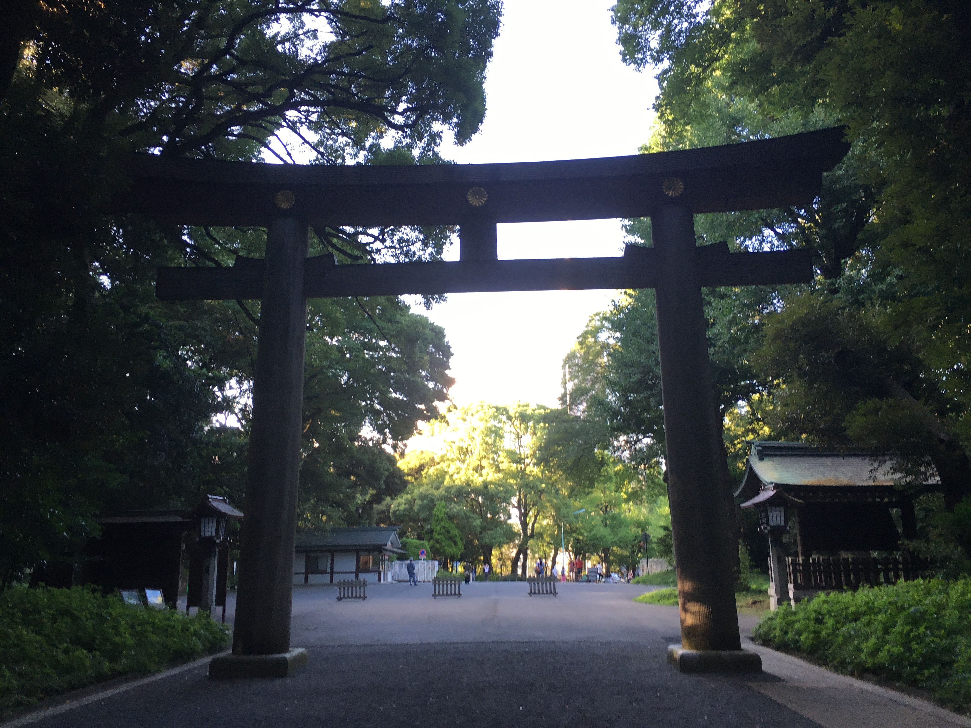 2016 photo 2
